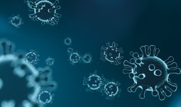 INFORMACE K EPIDEMII KORONAVIRU