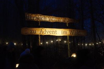 Advent v lese 2.JPG