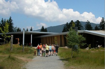 Čížková3
