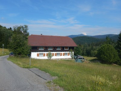 foto1