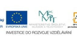 Výzkum modelů reprezentací v literárních diskurzech (OPVK)