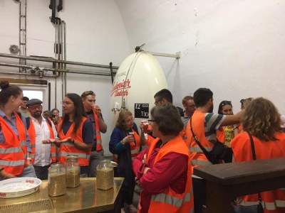Budvar (5)