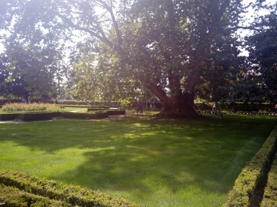 Hluboká (2)