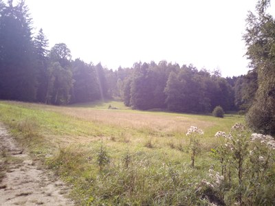 Terčino údolí (19)