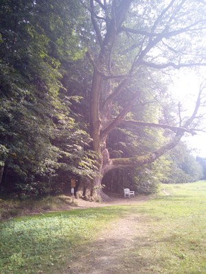 Terčino údolí (20)