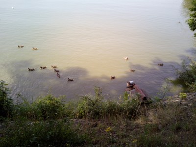 Třeboň (5)